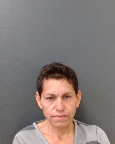 MARTINEZ BRICENO, SUSANA booking photo