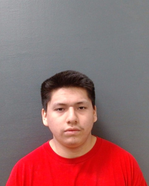 WOLFF, SEBASTIAN GUY booking photo