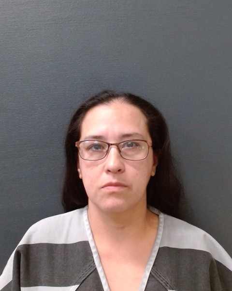 MARTINEZ, HELEN ALVAREZ booking photo