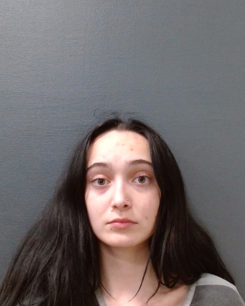 WETZ, EMMALEE JAYNE booking photo