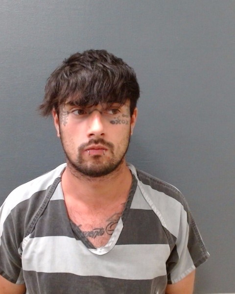 ELIZONDO, CHARLES NICHOLAS booking photo