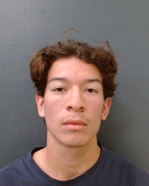 BRINKLEY, REYNALDO ISAAC booking photo