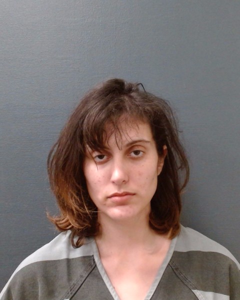 PILLOFF, MICHELLE booking photo