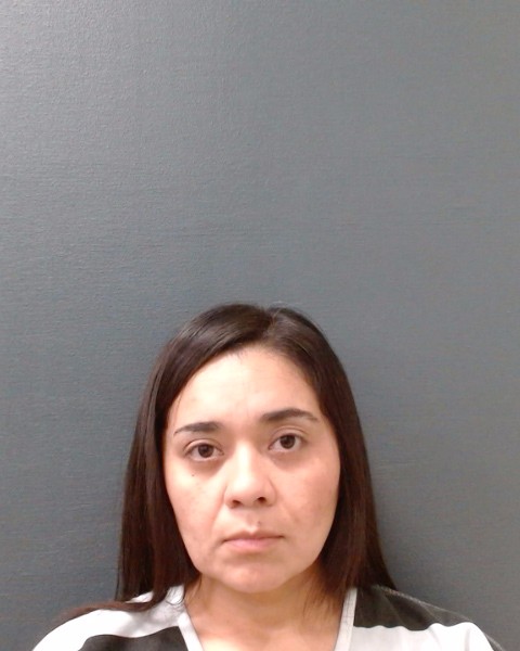 HERNANDEZ, PRISCILLA DESIRREE booking photo