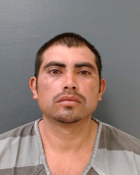 CARDENAS MODESTO, BERNARDO booking photo