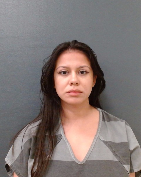 TORRES, CLARISSA booking photo