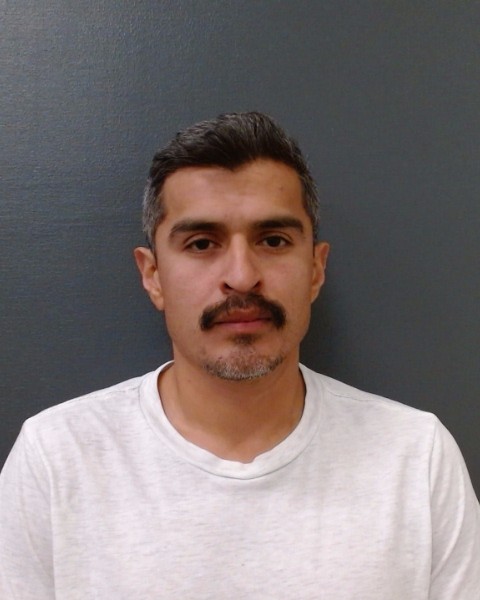 LUNA, HENRY ALEX booking photo