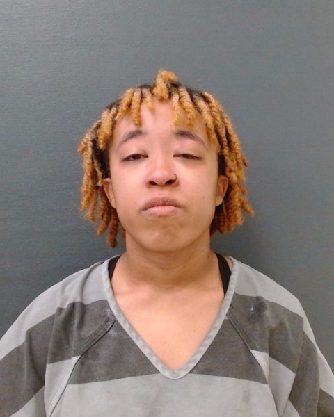 MARTIN, AMAYA SHYNICE booking photo