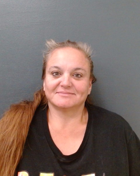 RODRIGUEZ, BRANDY ROSE booking photo