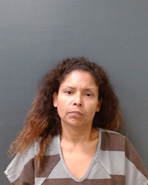 SALAZAR, STEPHANIE booking photo