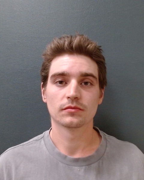 GOEDEN, DEREK WILLIAM booking photo