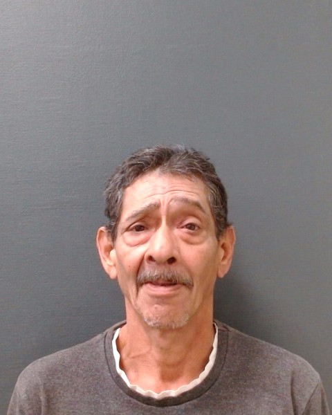 GONZALES, JESSE JR booking photo