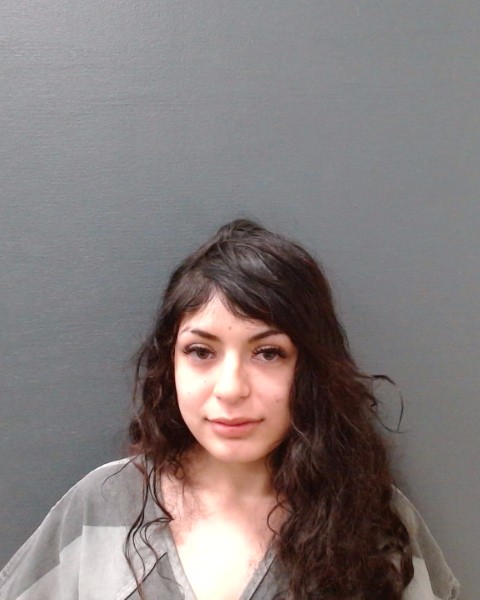 HERRERA-MEDINA, SUZETTE ARIANA booking photo