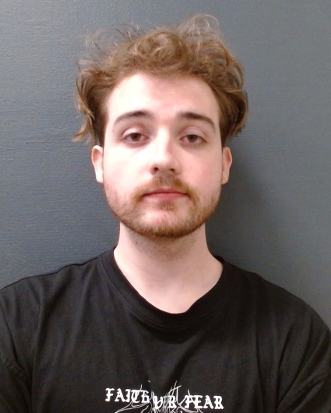TEVIS, COLE ROBERT JOESEPH booking photo