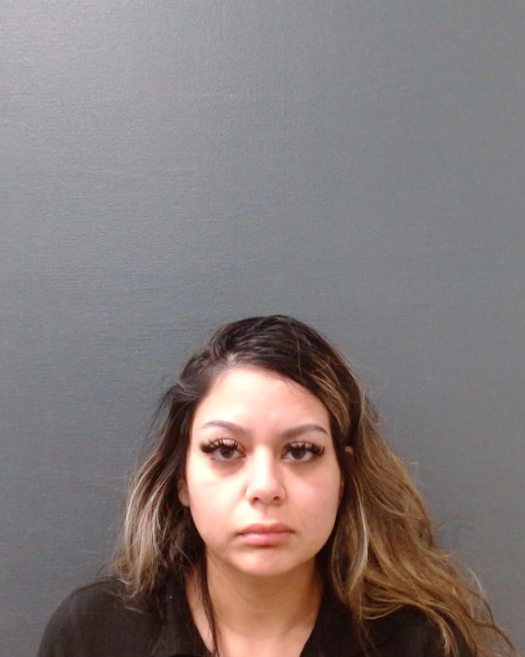 HERNANDEZ, VANESSA JUNE booking photo