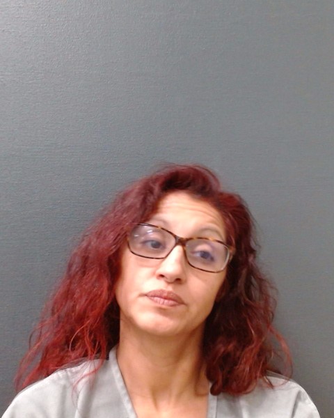 JIMENEZ, TAWNY MARIE booking photo