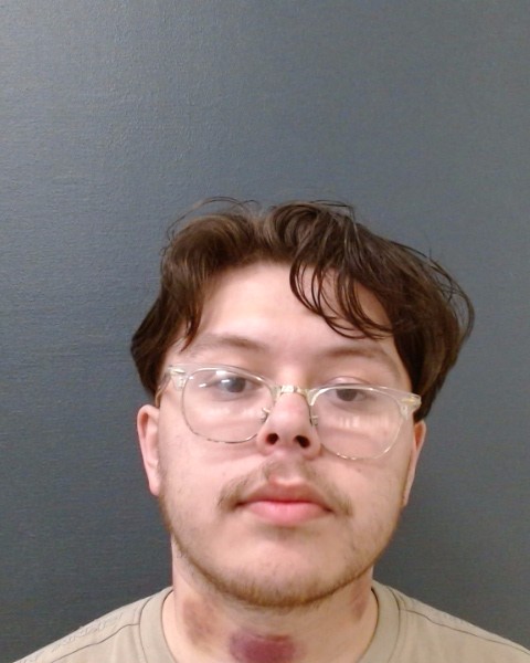RIVERA, BRYAN ALEXIS booking photo