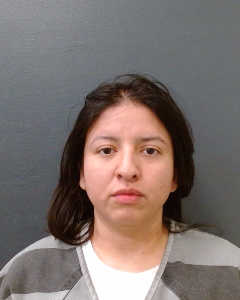 VILLARREAL, VICTORIA LYNN booking photo