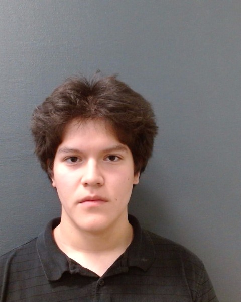 ACEVEDO, ROBERTO, Jr. booking photo