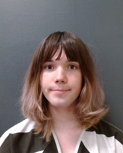 GULLION, ALEXANDER REED booking photo