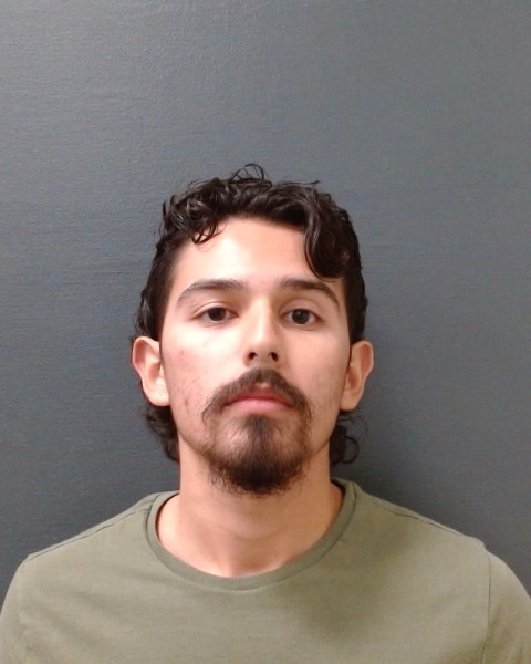 ARANA, ANTHONY MICHAEL booking photo