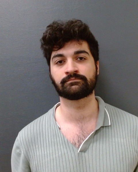 PARSA, KAMRAN AMIN booking photo