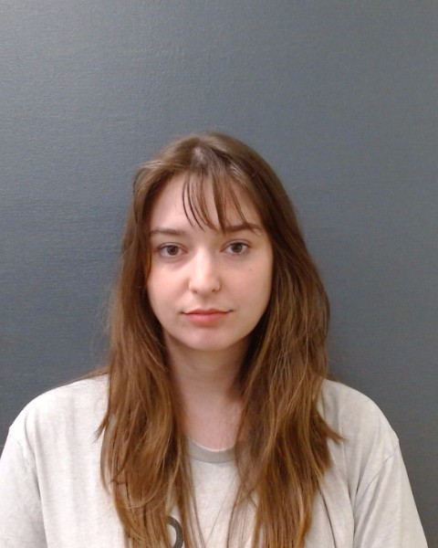 DEMNY, SARA booking photo