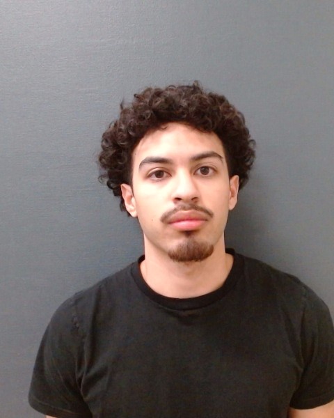 PUENTE, JULIAN LEE booking photo