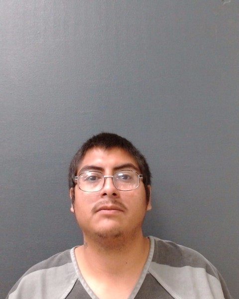 ROMERO, PEDRO DAVID, Jr. booking photo