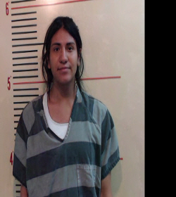 HERNANDEZ, MARCOS booking photo