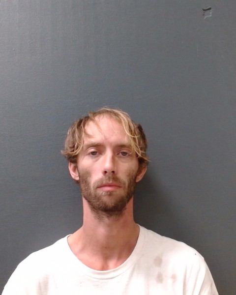 EDGE, TREAVOR VANN booking photo