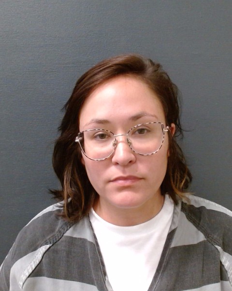 ELLINGSON, BIANCA DESIREE booking photo
