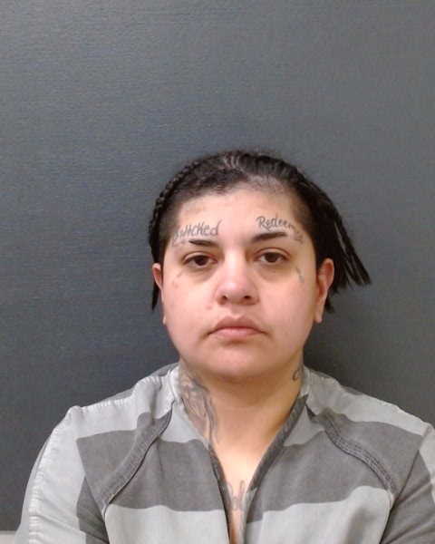 ACOSTA, SAMANTHA MARIE booking photo