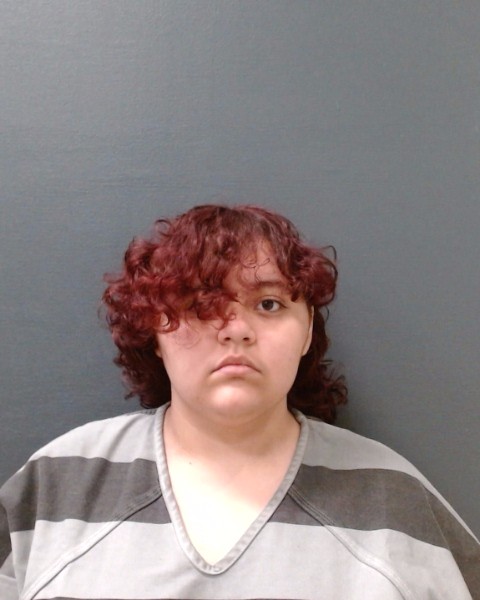 ARELLANO, ERICA KIM booking photo