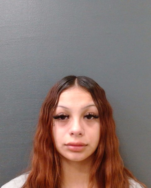 HARPER, DESTINI CHEYENNE booking photo