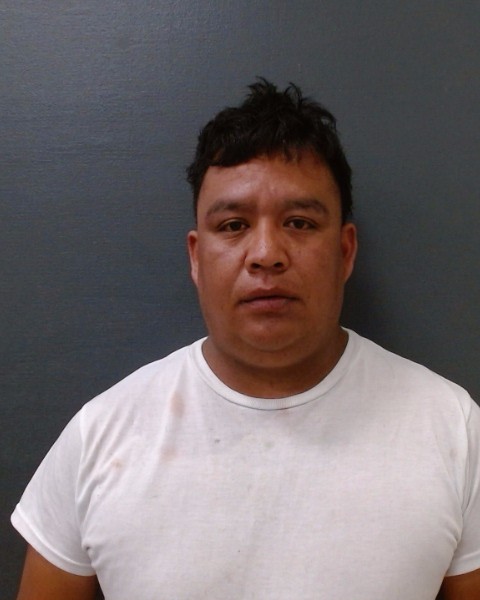 PADIERNA SANCHEZ, JESUS MANUEL booking photo