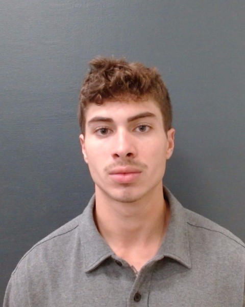 STEELE, MCKANE NELSON booking photo