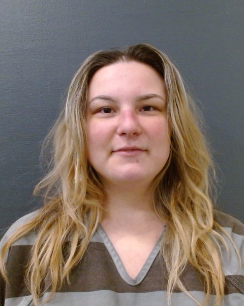 ROBISON, SARA KATLYNN booking photo