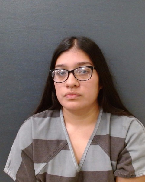 REYNA, ANGELICA GUADALUPE booking photo