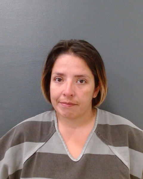 SALINAS, LARA NOEL booking photo