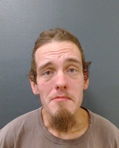 HAYES, AUSTIN PHILLIP booking photo