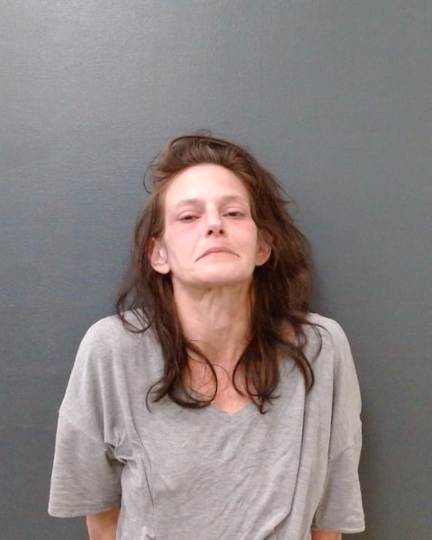 JACOBSON, TESHA RENEE booking photo