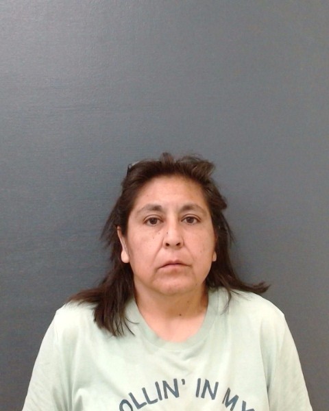 ZAPATA, ROSALINDA VILLARREAL booking photo