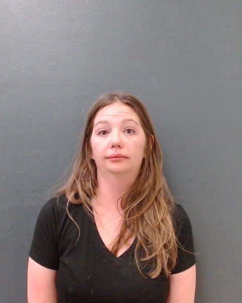 SNYDER, STEVEE RENE booking photo