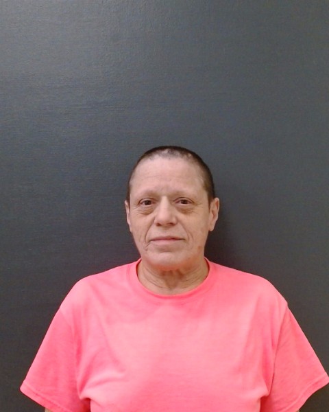 FRODGE, KATHY AILENE booking photo