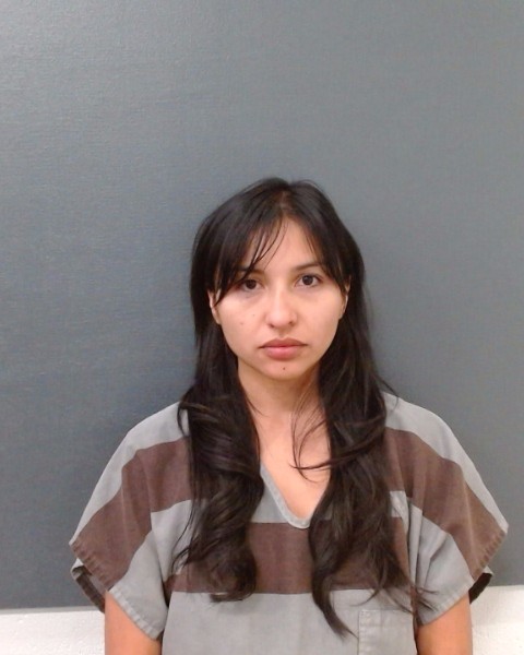 SANDOVAL, MONICA MARIE booking photo