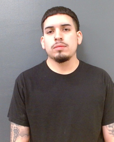 GONZALEZ, MARIO GREGORIO booking photo