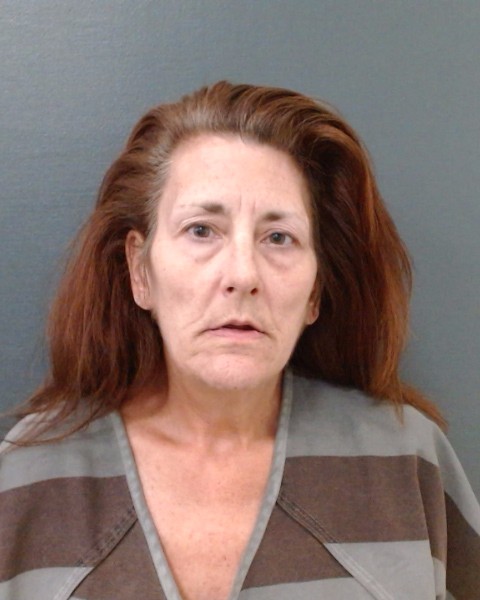 DAVIDSON, TIFFANEY RENE booking photo