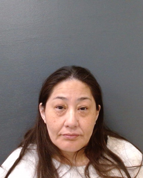 GONZALEZ, MELISSA booking photo