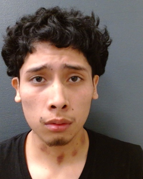 MEJIA, ANTONEY booking photo